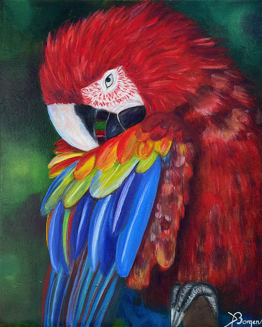 The parrot, 33x40 cm